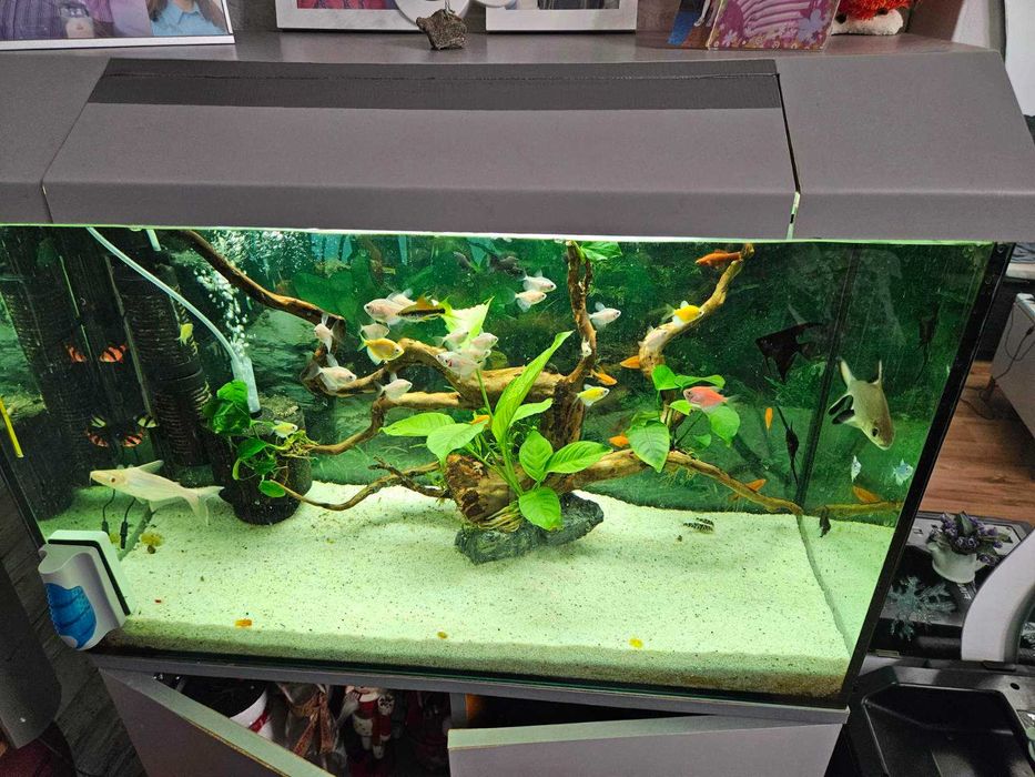Продавам АКВАРИУМ -140литра