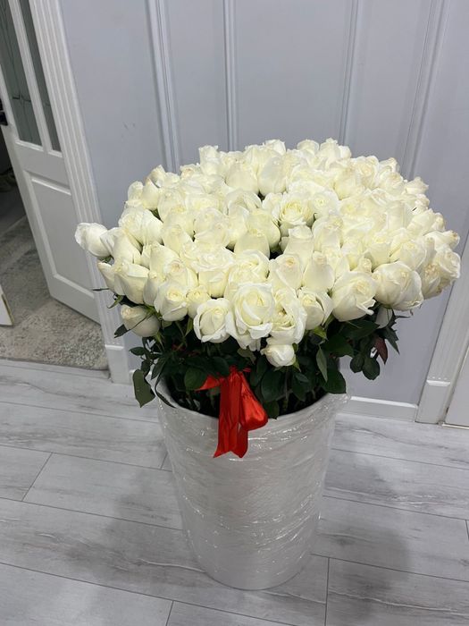 Цветы  голадские розы