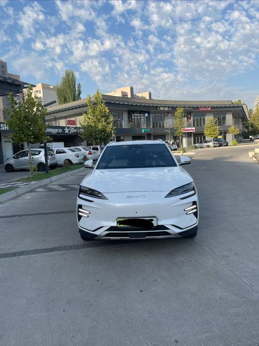 byd  chenpiyon 605 ful 2024