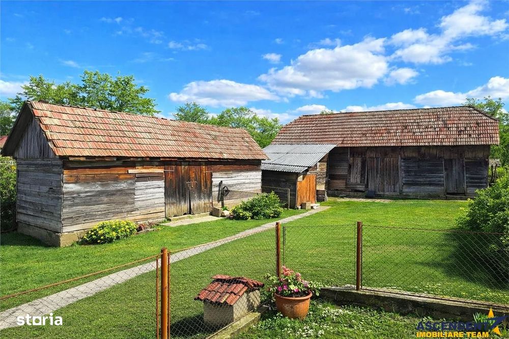 4.300 mp teren, pomicultura +casa traditionala, anexe, Craiesti, Mures