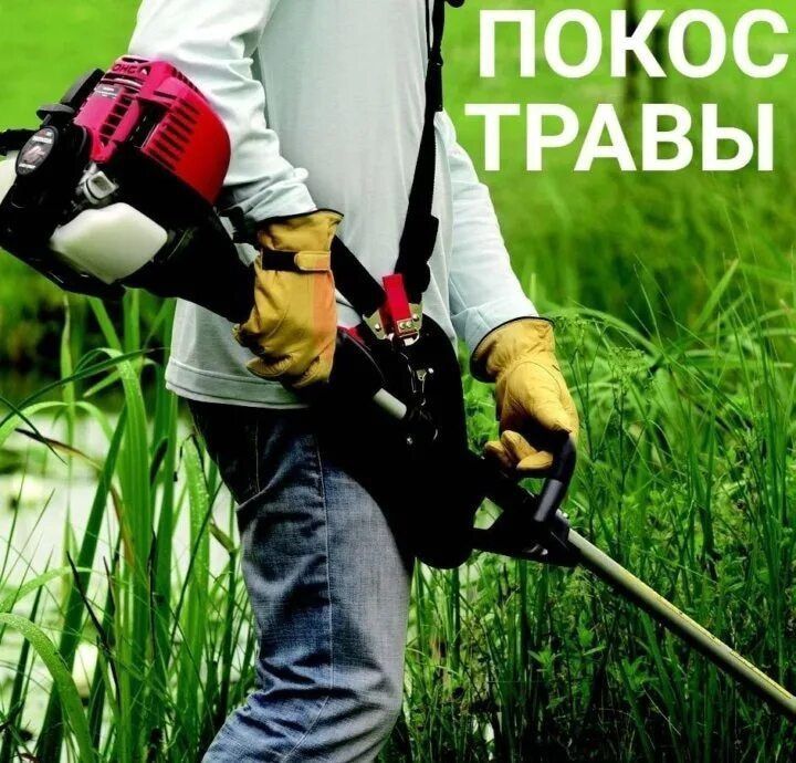 Покос травы, спил деревьев