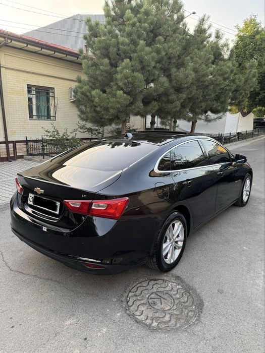 Malibu2 Qora 2.4 Atmasferniy Lyukli ideal