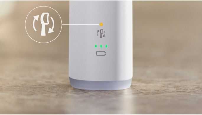 Periuta de dinti electrica Philips Sonicare HX7400