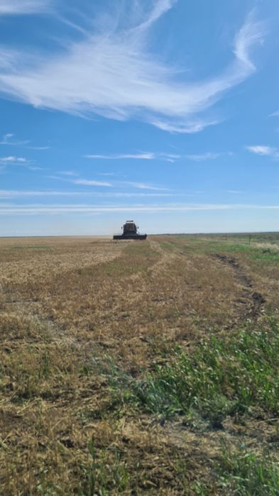 Енесей комбайн уборочный