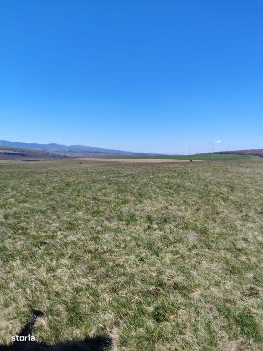 Teren extravilan in Ciurila