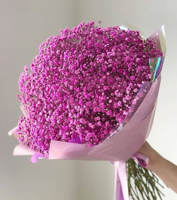 Цветы Каскелен,  Гүлдер