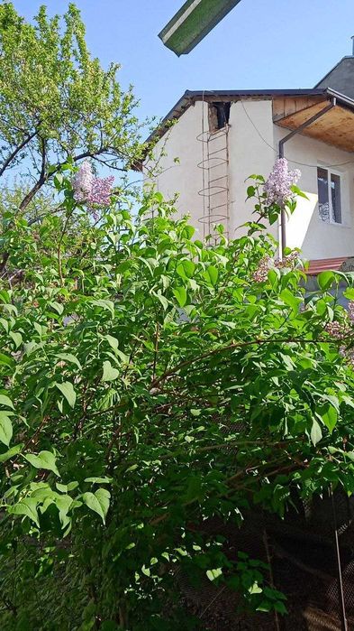 Продаю свой дом 2.5 сотки / Uy sotiladi 2.5 sotih