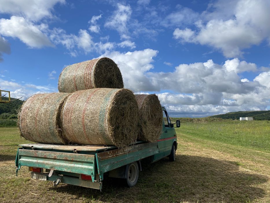Vând baloți lucernă