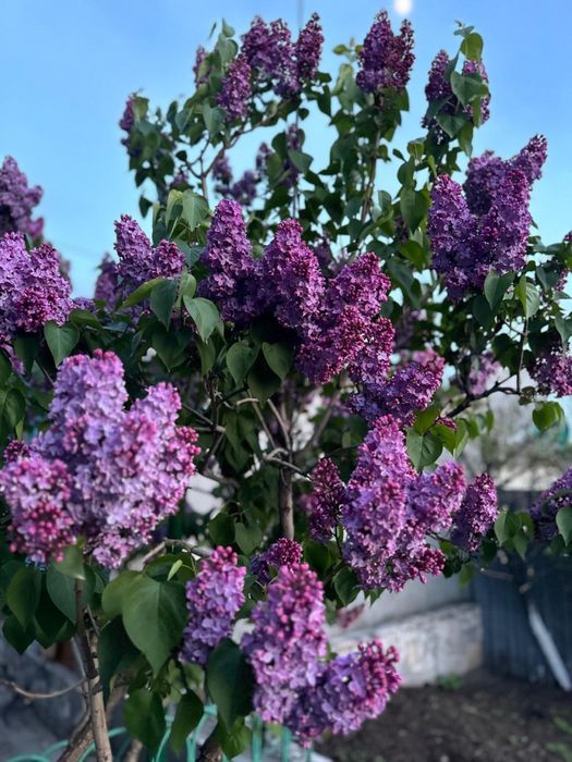 Хостел Комната 1000 тенге