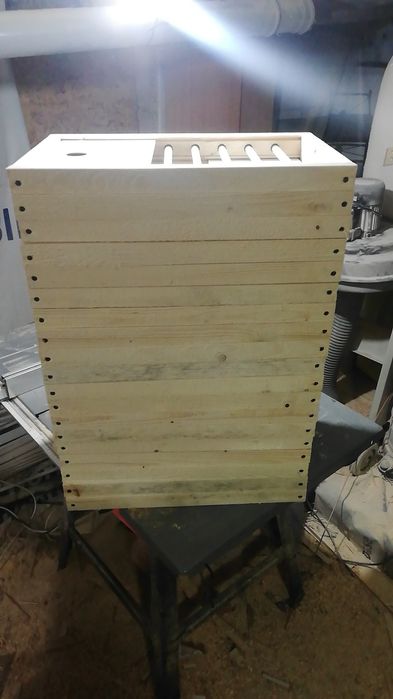 Fete porumbei de boxe