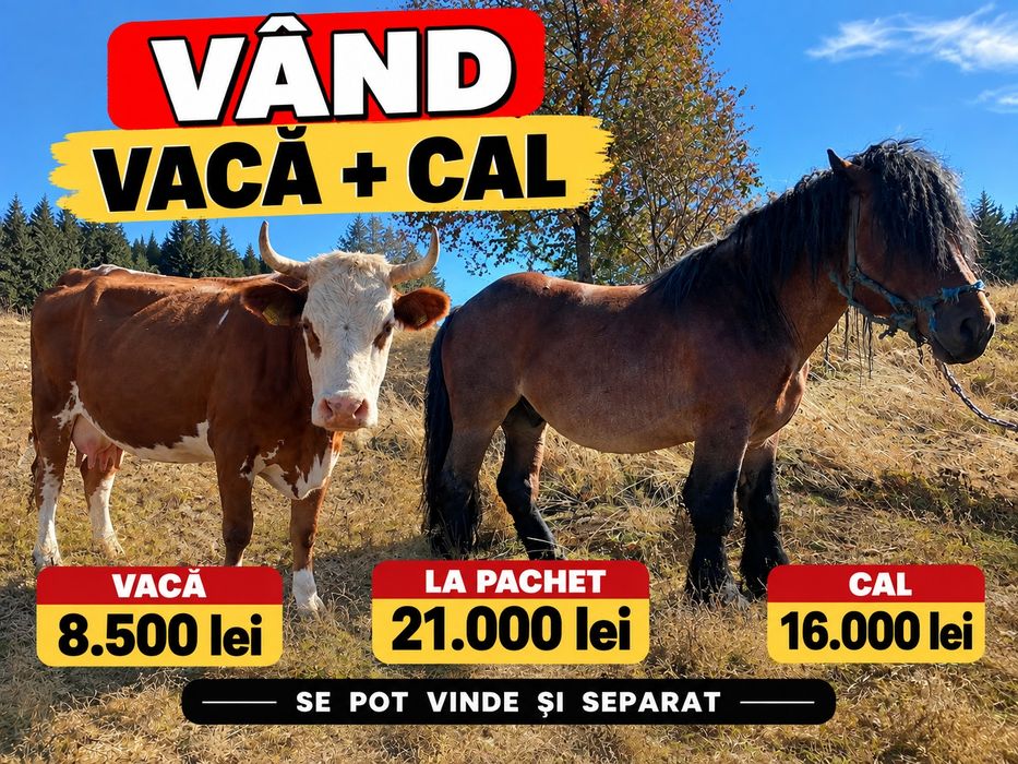 Vand vaca si cal