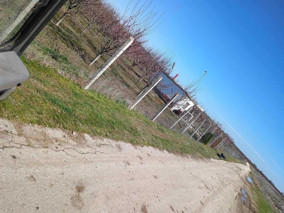 Продава се Земеделски имот в Пловдив, Тракия -  кв.м за 4450 €/дка - Снимка #3