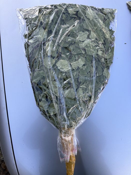 береза веник 500 тг