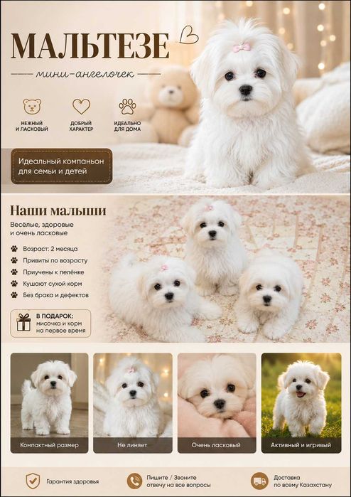 Щенки город Астана