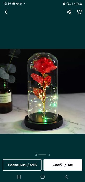 Живая роза колбе падарок
