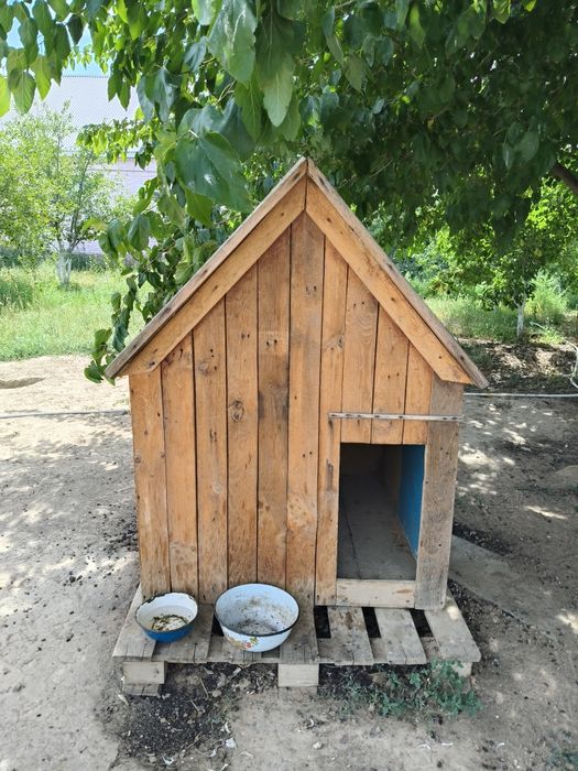 Продам домик для собак