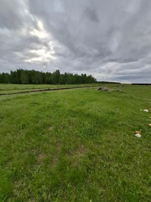 Продам участок в Осиновке