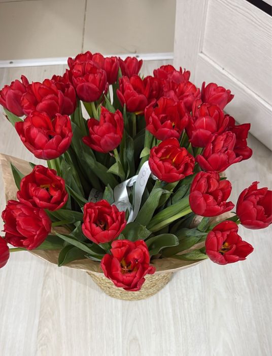 Цветы , Тюльпаны свежие