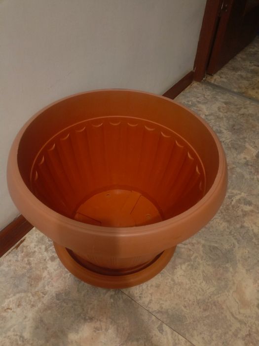 горшок для цветов