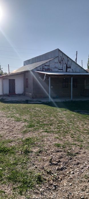 Срочно сатылады колбастауда евгенивка