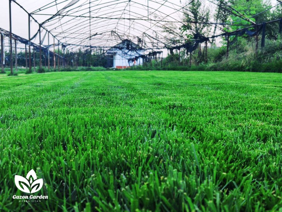 Услуги газона , Gazo’n Hizmati