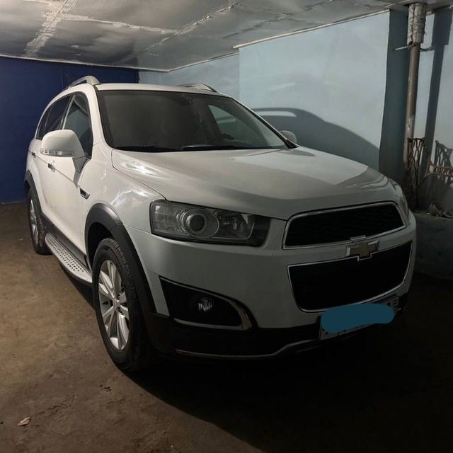 2016 йил  йил гайан салонон