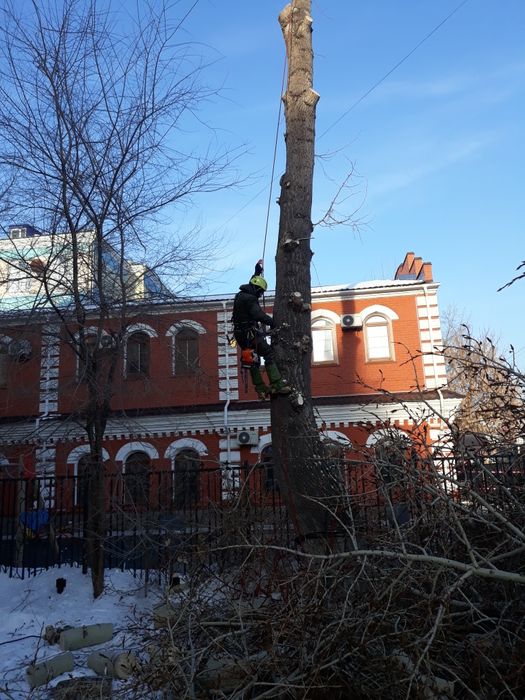 Спил подрезка аварийных деревьев.
