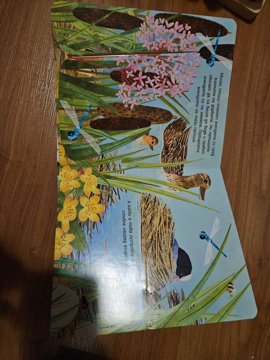 Детски книжки с капачета