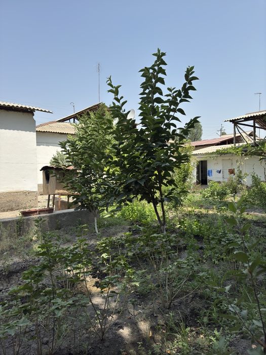 Продаётся дом срочнооо!