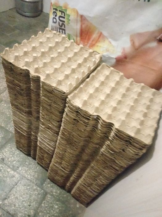 Продам лотки . Б/ У в хорошем состоянии.