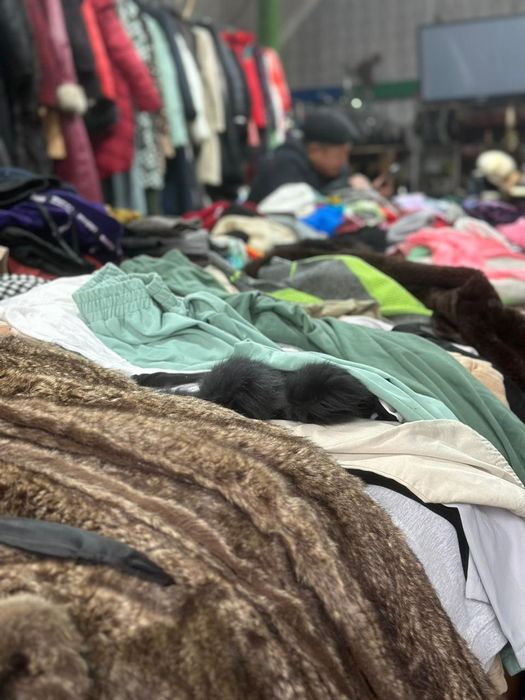 Сехн хенд казакбайский