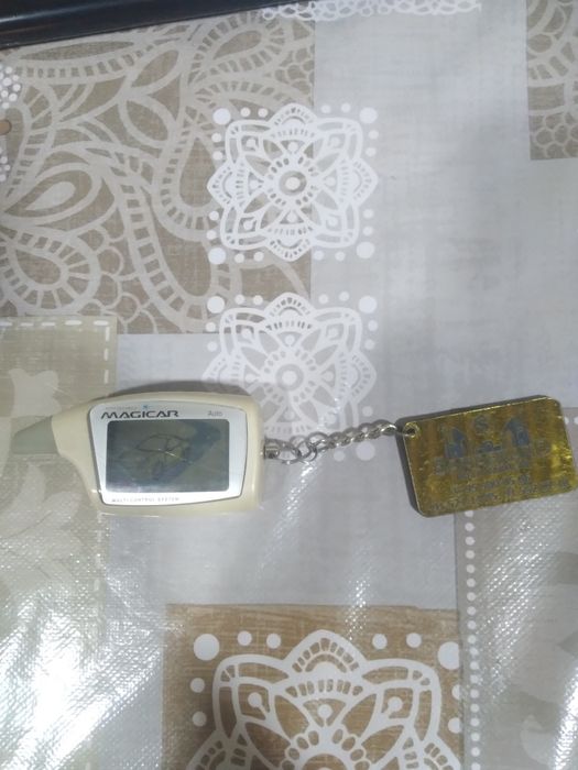 Pioneer magnitafon delphin