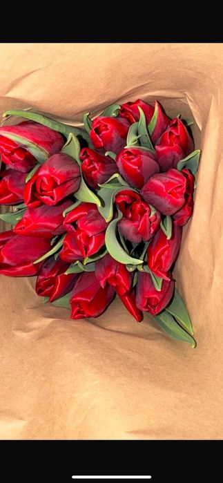 Тюльпаны голландские оптом на 8 марта