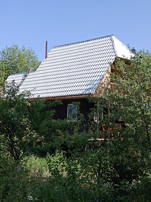 Дача на берегу Ишима