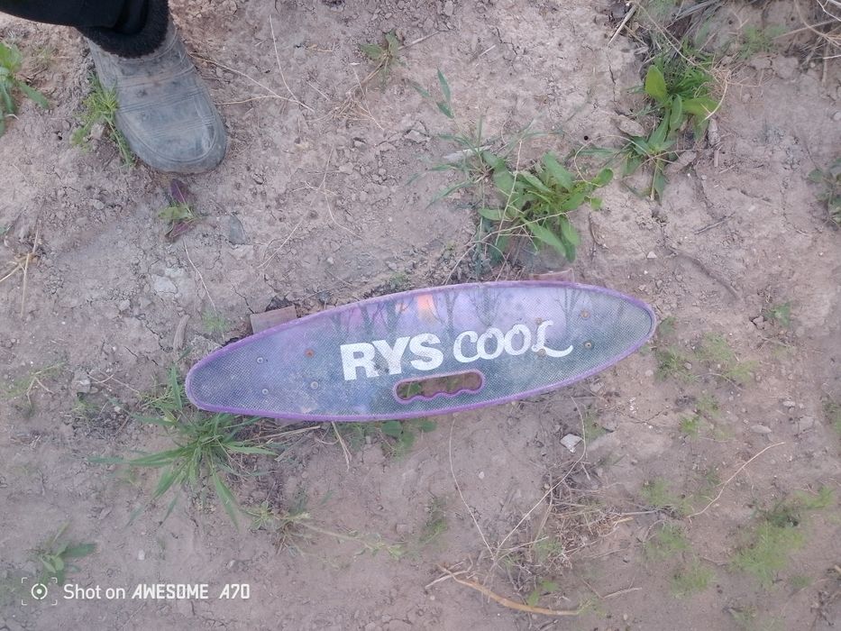 Велик сатылады 40к падарка барыс велик