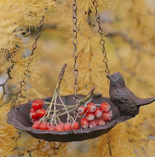 Висяща хранилка за птици