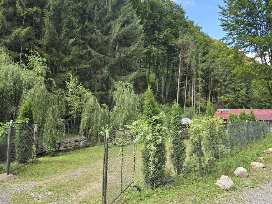 Cabană de închiriat Valea Brătcuței