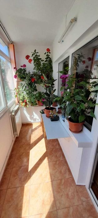 Locuinta -apartament