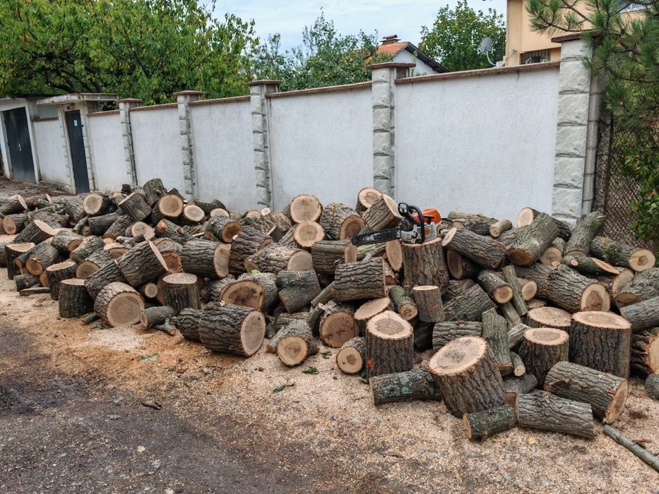 Рязане на дърва 12лв кубик