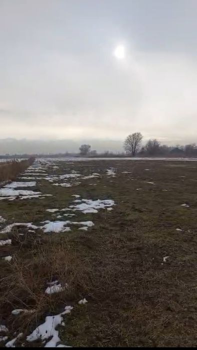 Продам 2 гектара земли