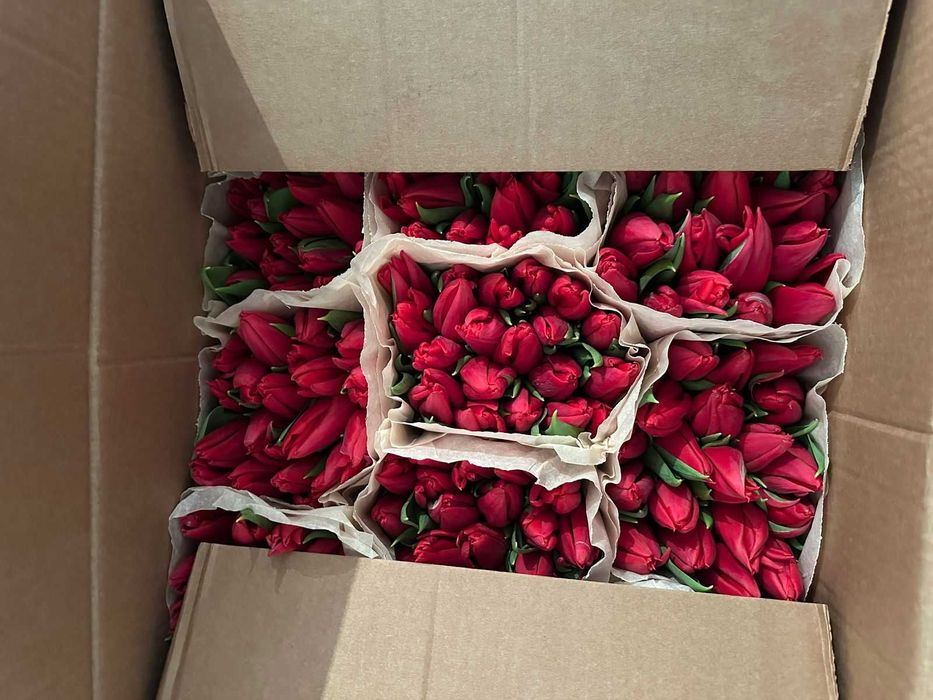 Доставка тюльпаны до двери