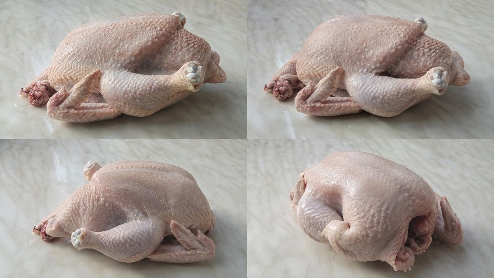 Домашняя курочка