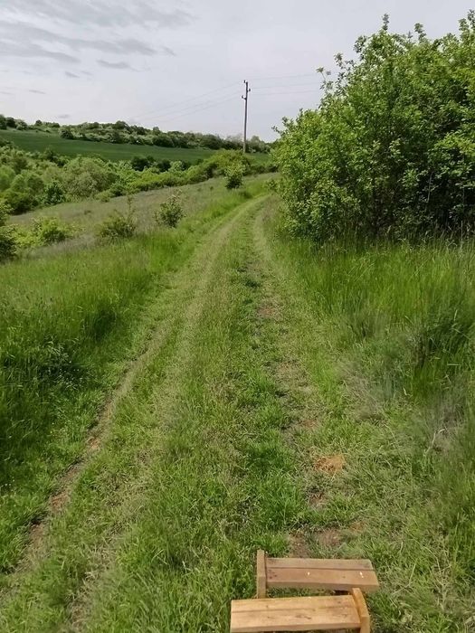 Парцел със стара къща с. Извор Софииско