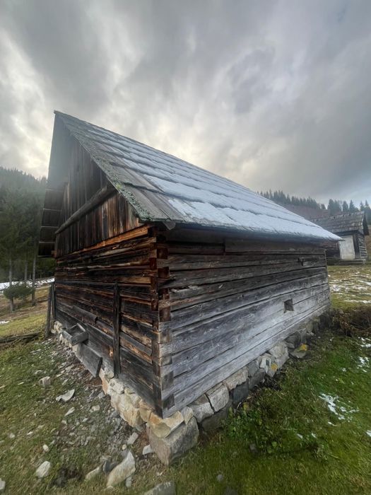 Vand constructie din lemn cioplit