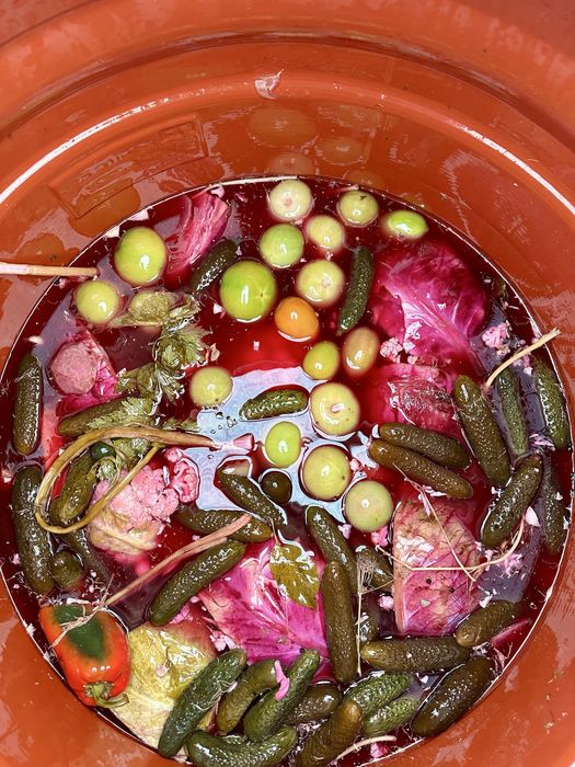 Muraturi Asortate la saramura