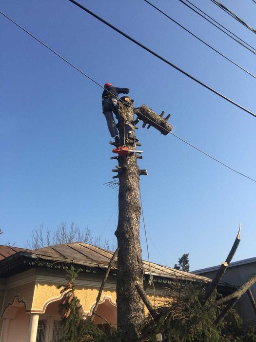 Alpinism Utilitar Ploiești