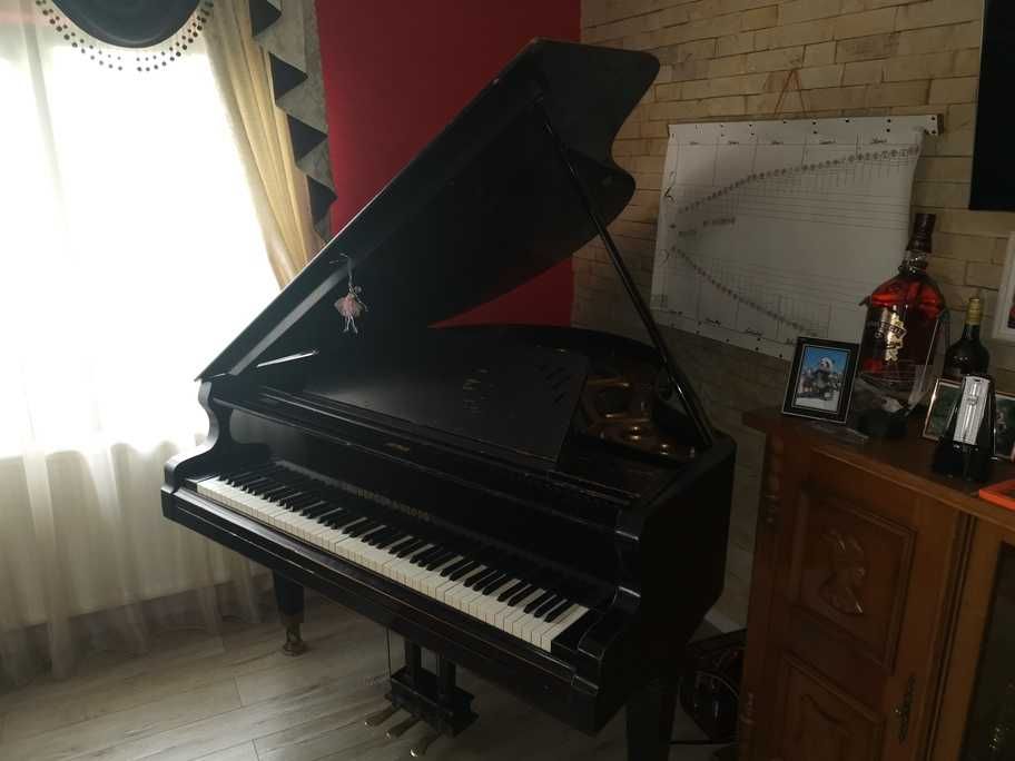 Pian Lauberger&Gloss