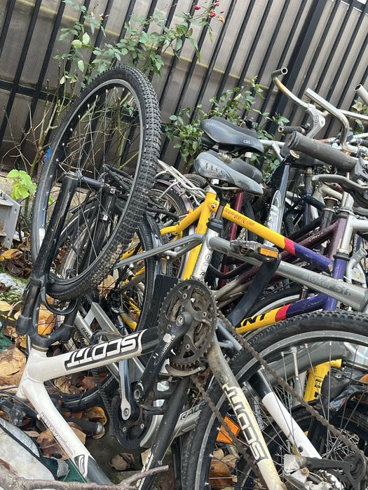 Biciclete SH Germania