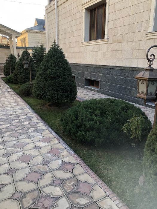 Садовник на дому