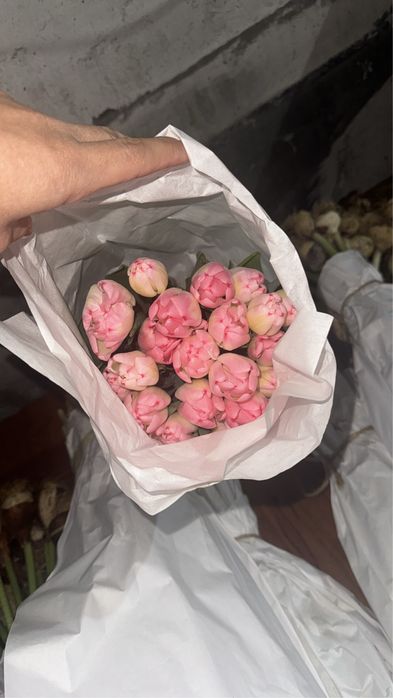 Тюлпаны местные